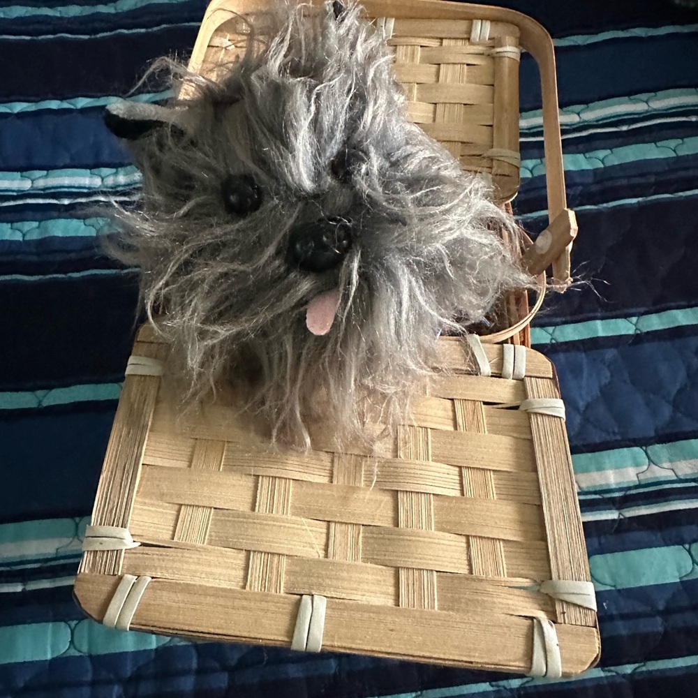 Wizard of Oz Dorothy Costume with Toto basket!